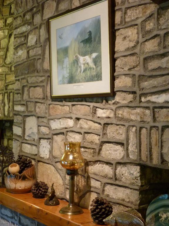 Cameley Lodge - Self Catering Temple Cloud Kültér fotó